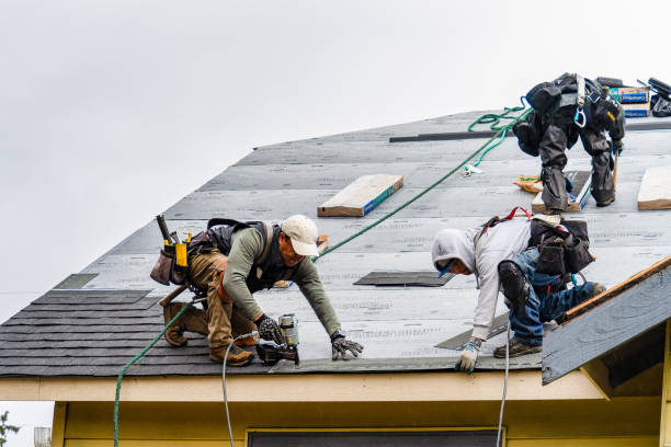 Professional Storm Damage Roof Repair technician working in Charlotte, VT
